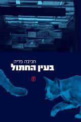 בעין החתול