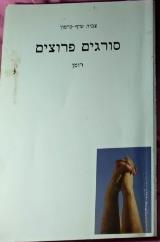 סורגים פרוצים : רומן