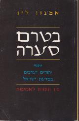 בטרם סערה - אמנון לין