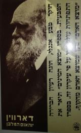 דארווין - יוהנס המלבן
