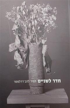 חדר לשניים - תמיר להב-רדלמסר