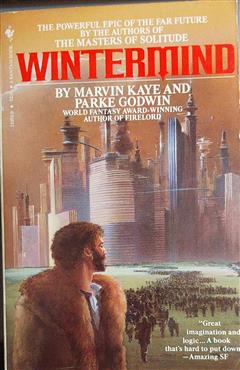 Wintermind - Marvin Kaye