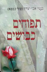 תפוחים כבושים - נעמי אבי יצחק