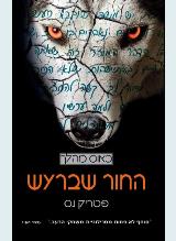 החור שברעש