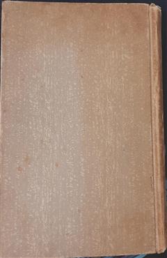 המנהיג הצהוב