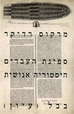 ספינת העבדים - מרקוס רדיקר