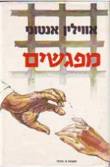 מפגשים