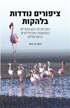ציפורים נודדות בלהקות - נועם בן אשר