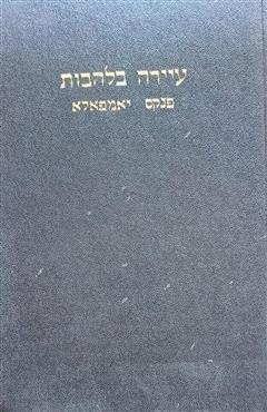 עיירה בלהבות - אריה ליב גלמן
