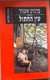 עין החתול