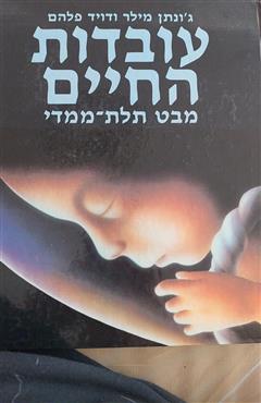 עובדות החיים - ג