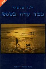 כמו קרח בשמש - רני טלמור
