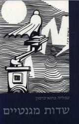 שדות מגנטיים