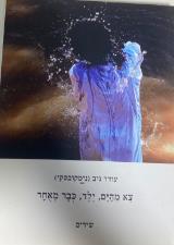 צא מהים, ילד, כבר מאחר : שירים - עודד ניב (נימקובסקי)