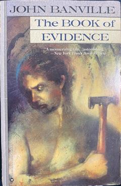 Book of Evidence - John Banville