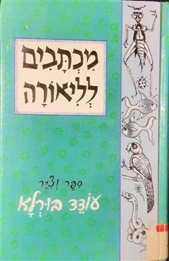 מכתבים לליאורה - עודד בורחא