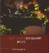 לאחוז בכנף הרגע : צילום בנוף ישראלי - ברוך גיאן