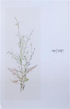 רשמים | שחר - שחר כ"ץ