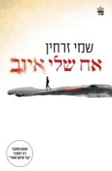 אח שלי איוב