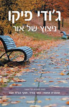 ניצוץ של אור - ג