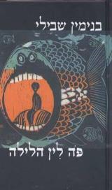 פה לין הלילה - בנימין שבילי
