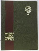 עמוד האש : פרקים בתולדות הציונות - יגאל לוסין