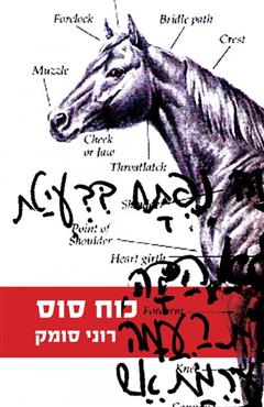 כוח סוס