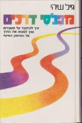 מפלסי דרכים - גייל שיהי