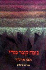 נצח קצר מדי - אבי ארליך